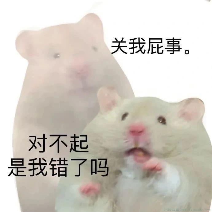 家鼠是什么意思