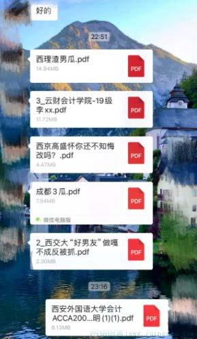 pdf是什么意思