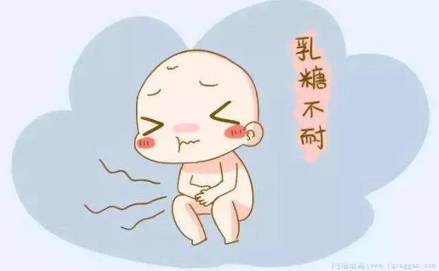 不耐受是什么意思