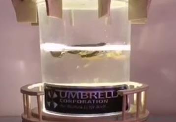 刑部侍螂是什么意思