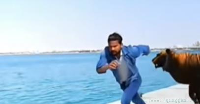 印度队长是什么意思