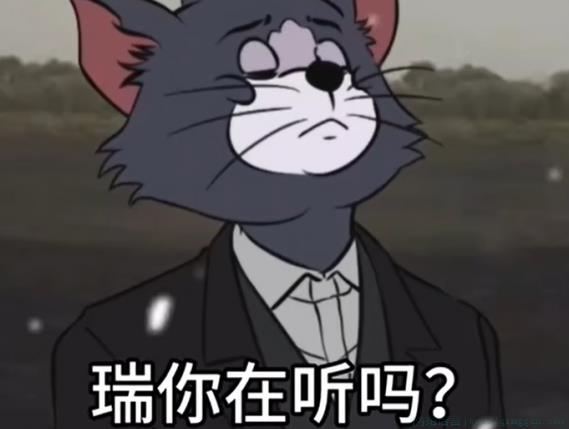 瑞你听到了吗是什么意思