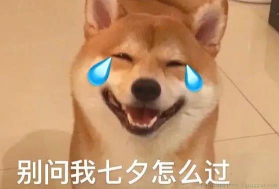 别问我七夕怎么过是什么意思