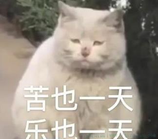 塑料袋子物是什么意思