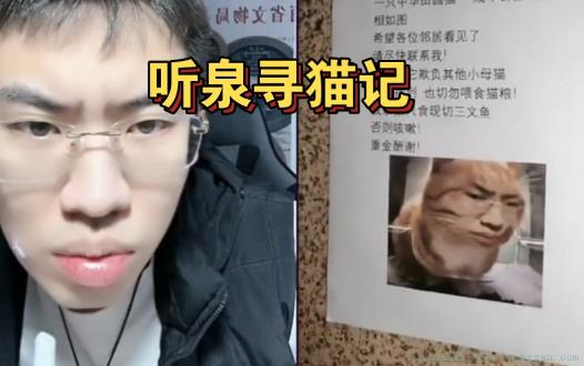 听泉猫是什么意思