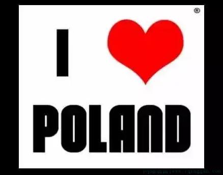 白了fo伦是什么意思