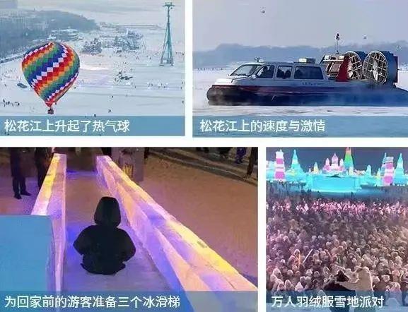 南方土豆是什么意思