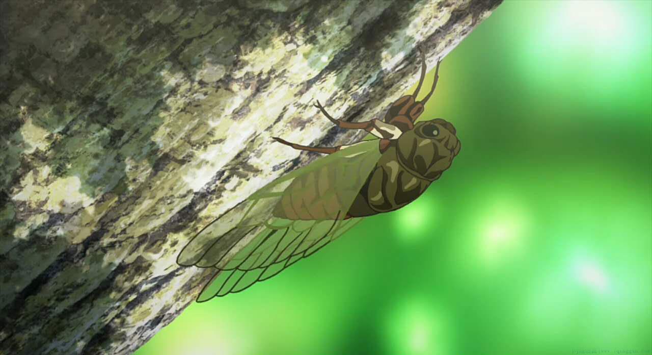 蝉在叫，人坏掉是什么意思