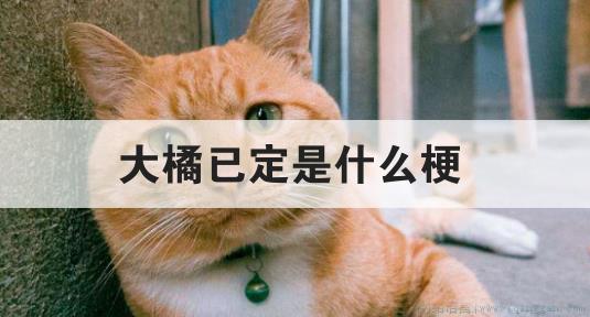 大橘已定是什么意思