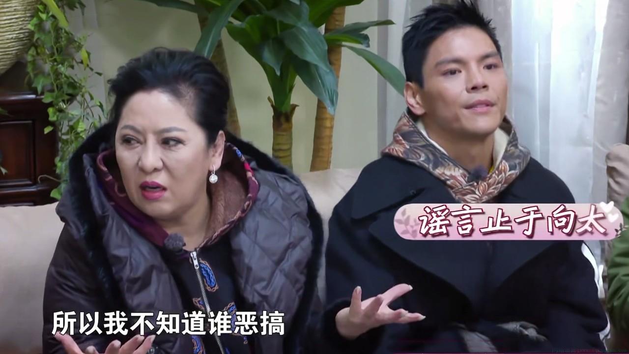 娱乐圈蛾子是什么意思