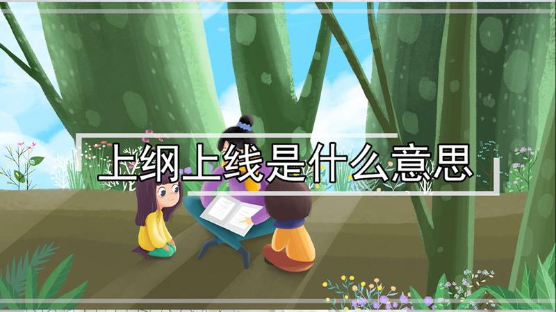 上纲上线是什么意思