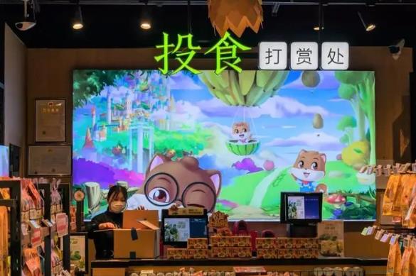 投食是什么意思