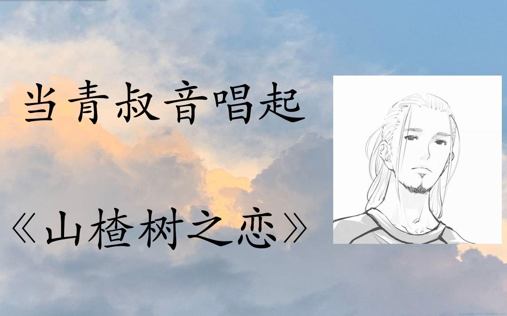 青叔音是什么意思