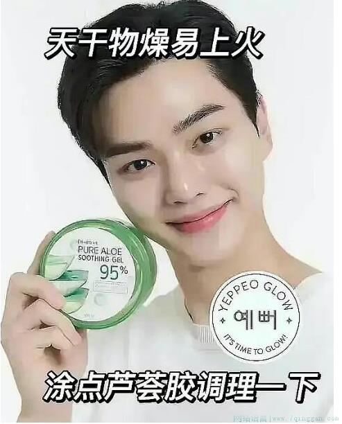 宋江芦荟胶是什么意思