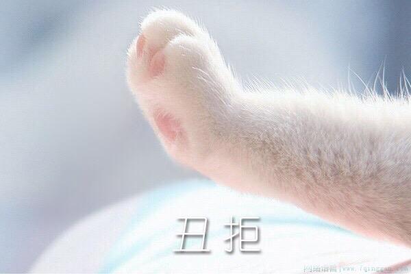 丑拒是什么意思