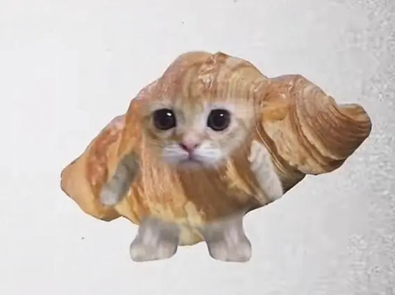 可颂猫是什么意思