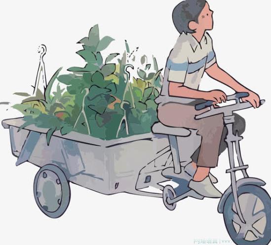 蹬三轮是什么意思