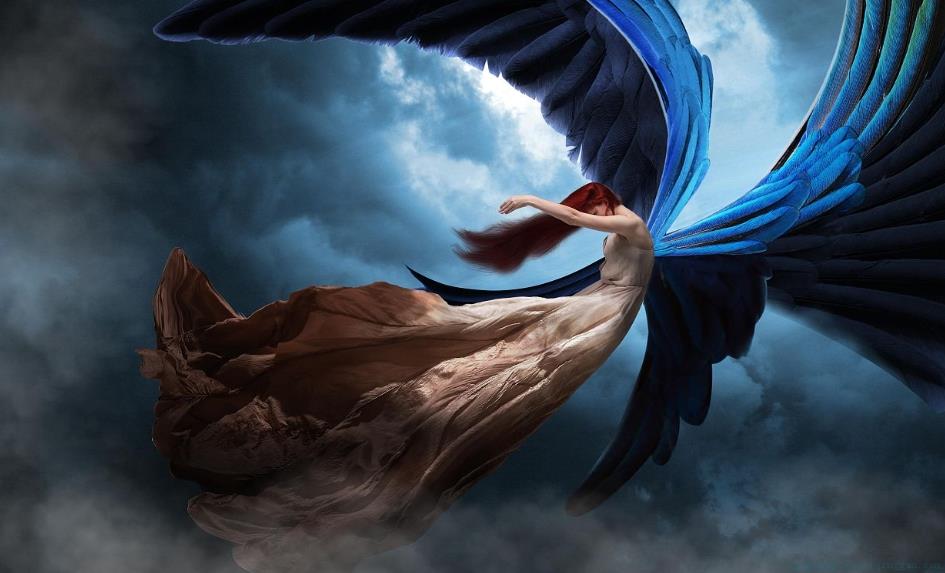 折翼的天使是什么意思