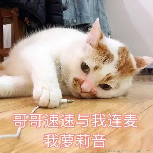 连麦吗我萝莉音是什么意思