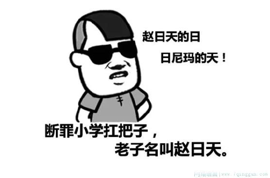 赵日天是什么意思