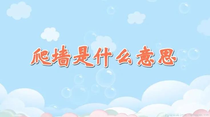 爬墙是什么意思