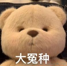 职场大冤种是什么意思