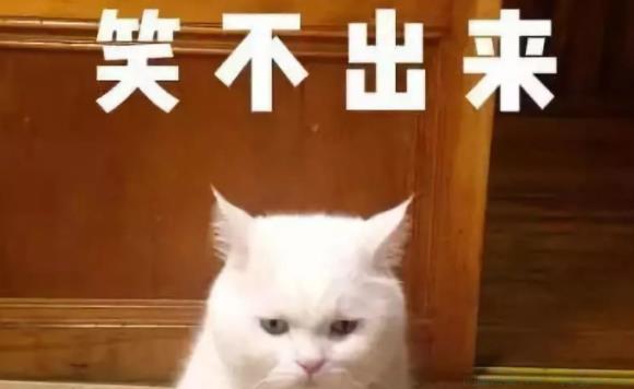 笑梗不笑人是什么意思