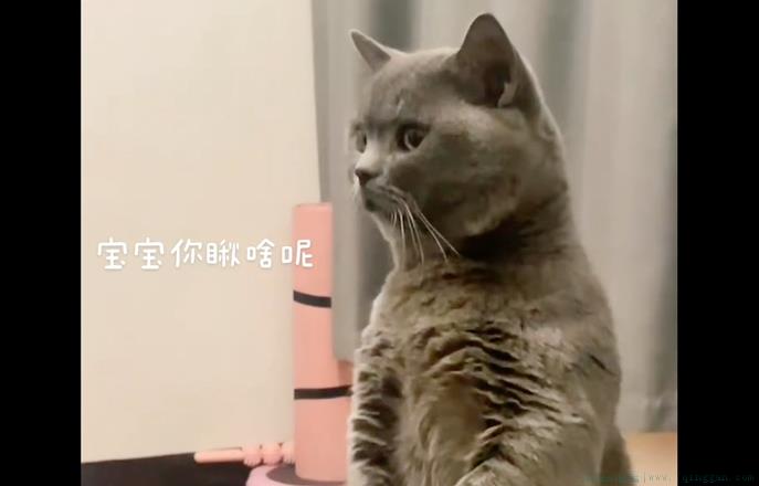 这是否有点是什么意思