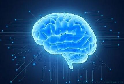 事业脑是什么意思