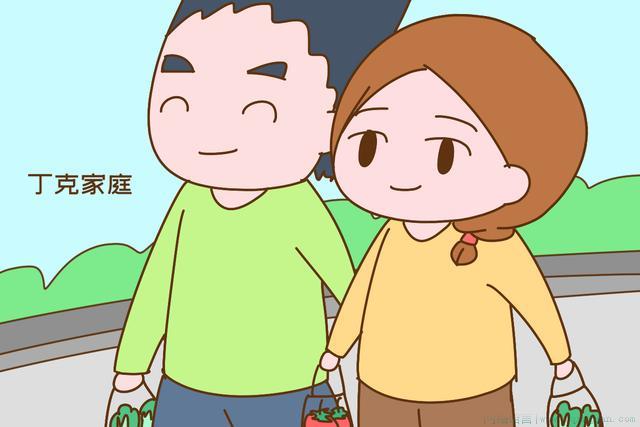 丁克家庭是什么意思