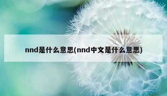 nnd是什么意思