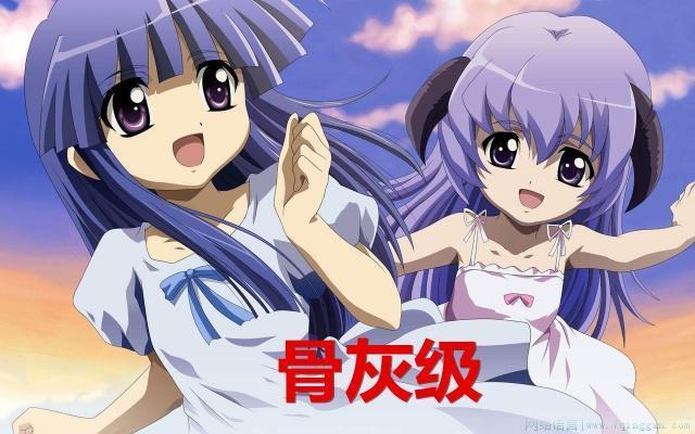骨灰级是什么意思
