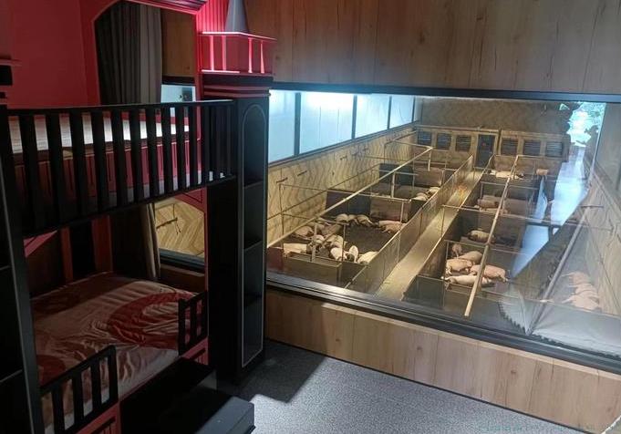 猪景房是什么意思