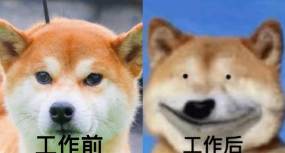 累丑是什么意思