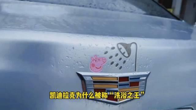 凯迪拉克洗浴王是什么意思