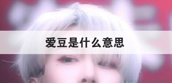 爱豆是什么意思
