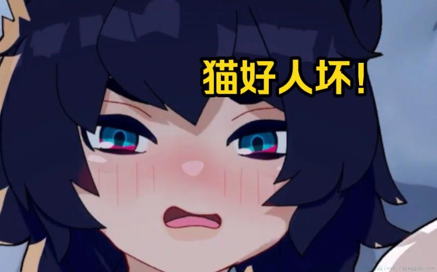 猫好人坏