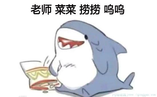 老师,菜菜,捞捞
