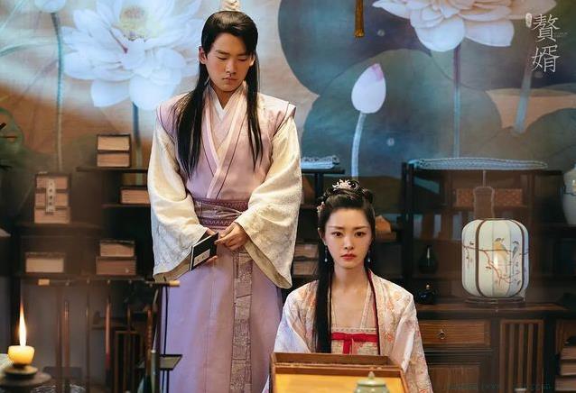 娱乐圈赘婿元年是什么意思