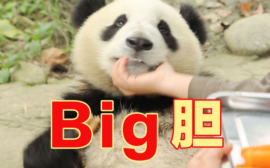 big胆是什么意思