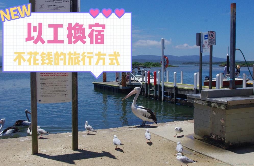 换宿旅行