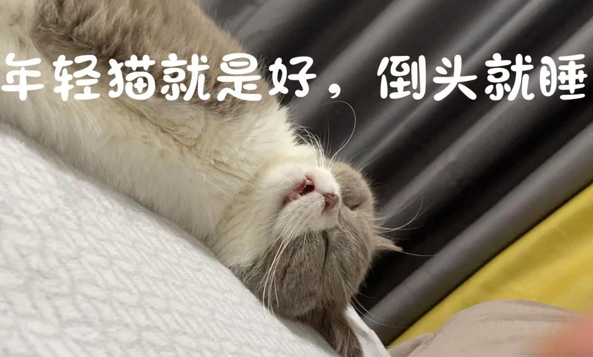 年轻真好倒头就睡是什么意思