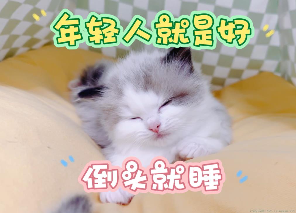 年轻真好倒头就睡