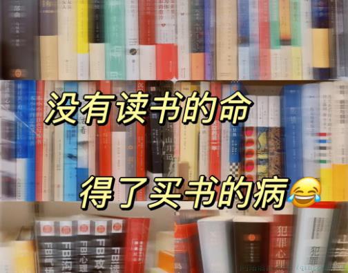 半拉文化人
