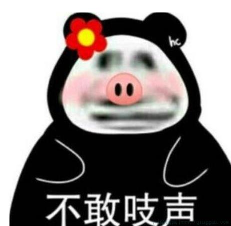 辱追是什么意思