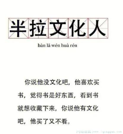 半拉文化人是什么意思