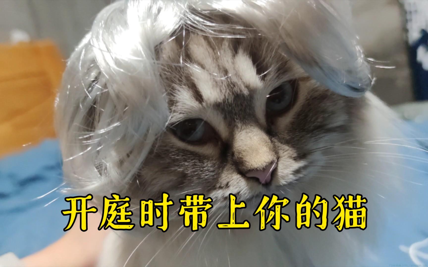 梅狸猫amagi是什么意思