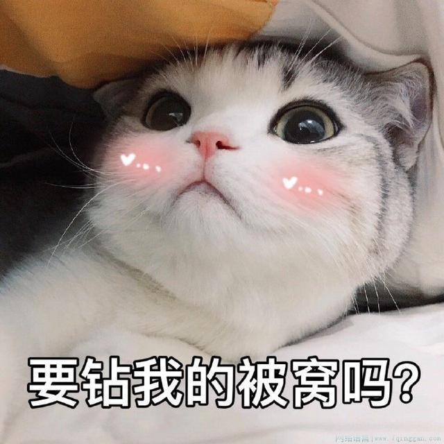 看夜光手表是什么意思