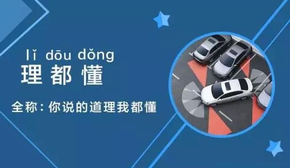 理都懂是什么意思