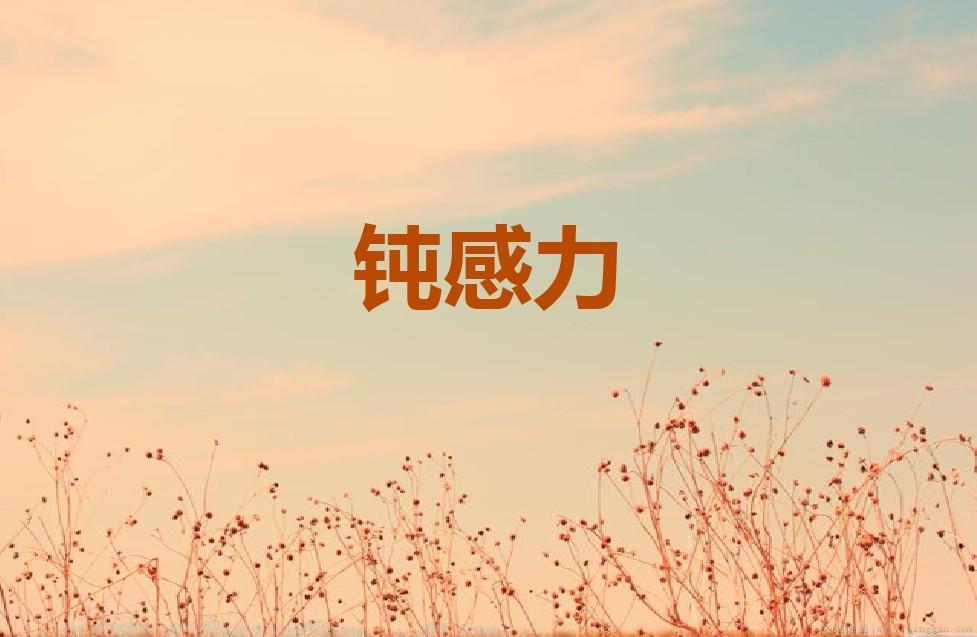 钝感力是什么意思